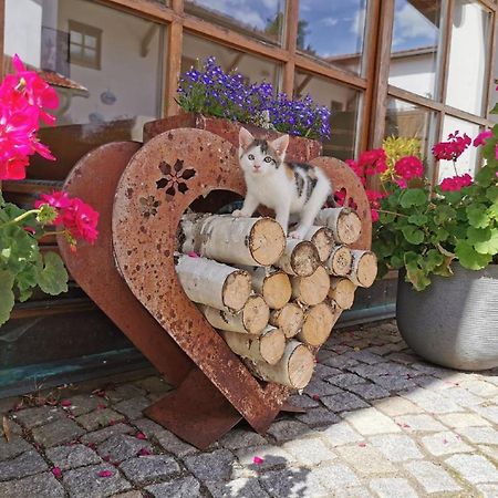 Apartmán Bauernhof Suesshof Zwiesel Exteriér fotografie